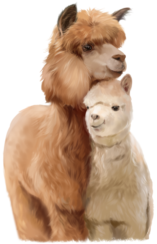 (s109-35-A) Alpaca Llama Mom and Baby