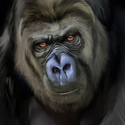 (s109-36-C) Gorilla