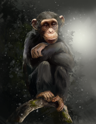 (s109-36-E) Chimpanzee