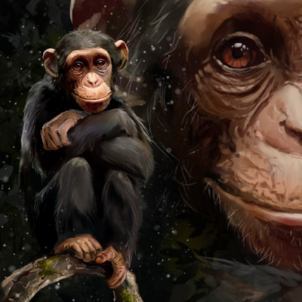 (s109-36-F) Chimpanzee