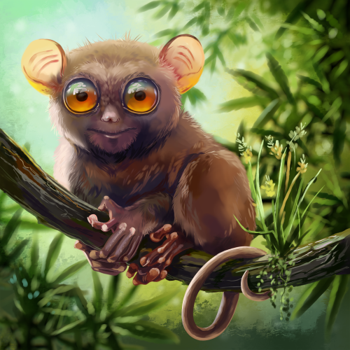 (s109-36-H) Tarsier