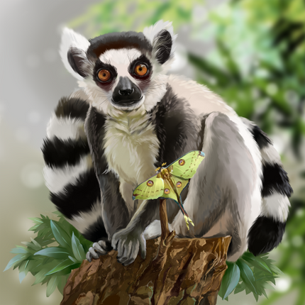 (s109-36-L) Ring Tail Lemur