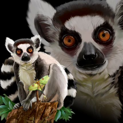 (s109-36-M) Ring Tail Lemur