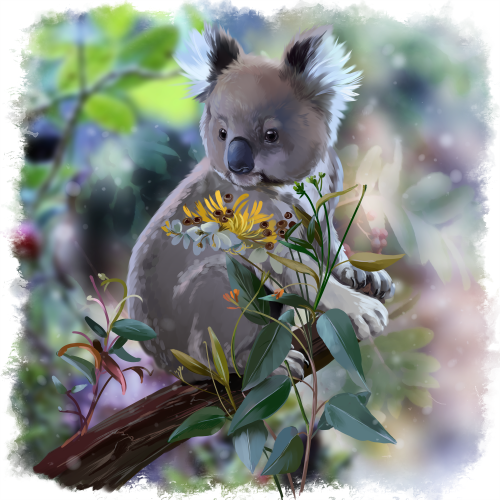 (s109-38-B) Koala