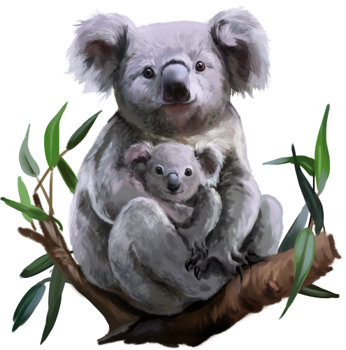 (s109-38-E) Mama & Baby Koala