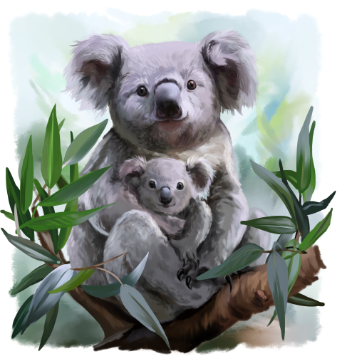 (s109-38-F) Mama & Baby Koala