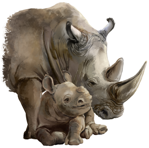 (s109-39-A) Mama & Baby Rhino