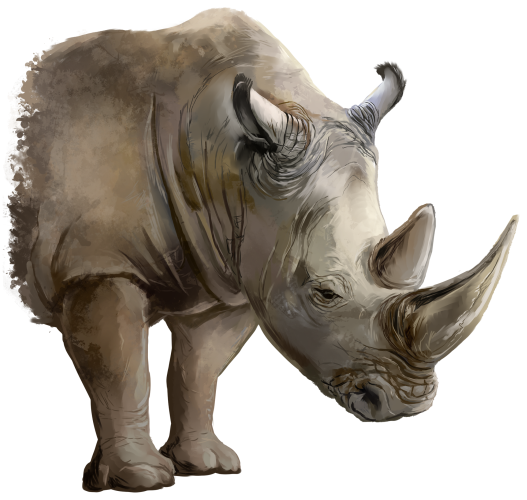 (s109-39-B) Rhino