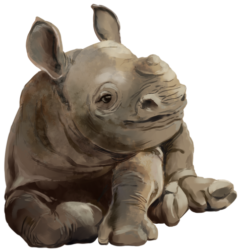 (s109-39-C) Baby Rhino