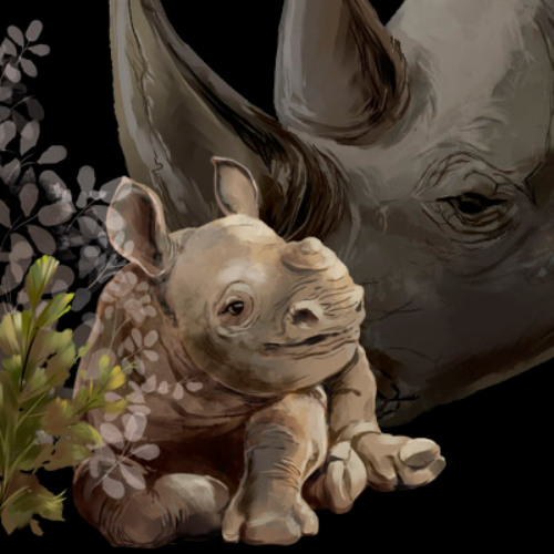 (s109-39-E) Baby Rhino