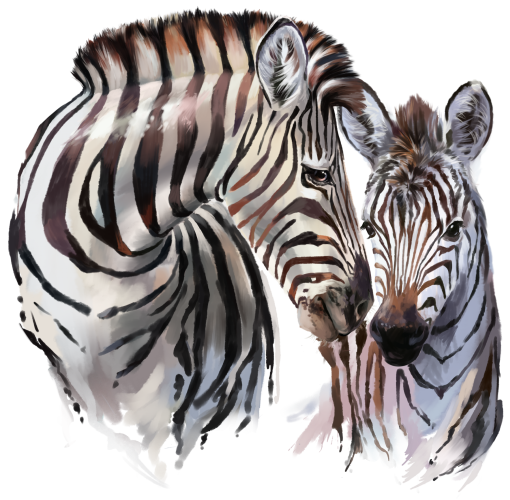 (s109-40-B) Mama & Baby Zebra