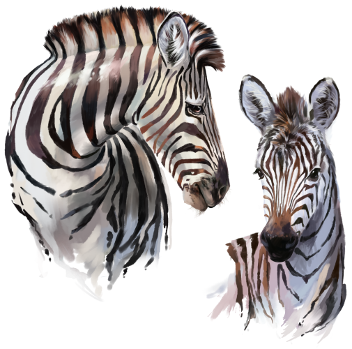 (s109-40-C) Mama & Baby Zebra