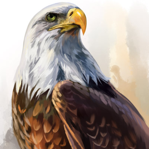 (s109-41-E) Eagle
