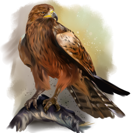 (s109-42-B) Eagle Hawk
