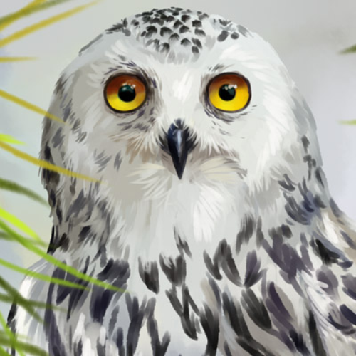 (s109-43-C) Snowy Owl