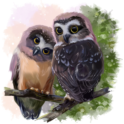 (s109-43-F) Owls
