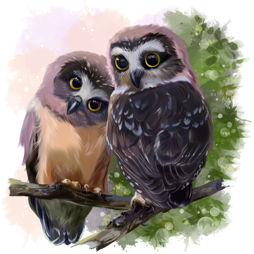 (s109-43-F) Owls