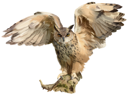 (s109-43-H) Owl