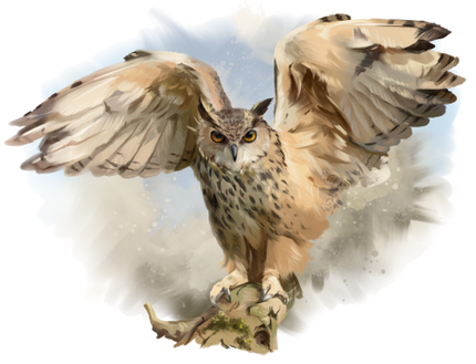 (s109-43-I) Owls