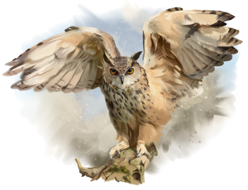 (s109-43-I) Owls