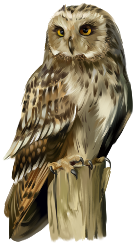 (s109-43-J) Owl