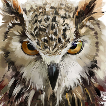 (s109-43-L) Owls