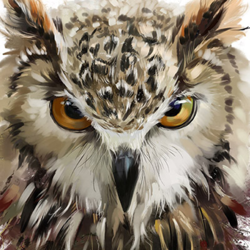 (s109-43-L) Owls