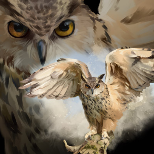 (s109-43-M) Owls