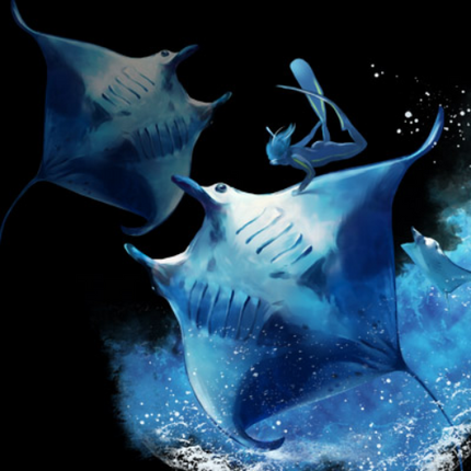 (s109-7-C) Sting Manta Ray