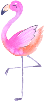 (s110-1-D) Flamingo