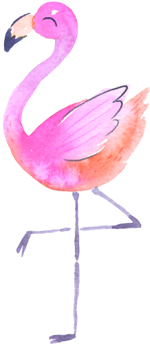 (s110-1-D) Flamingo