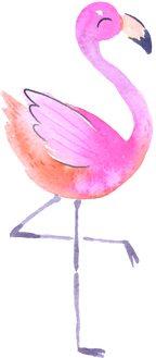 (s110-1-D) Flamingo