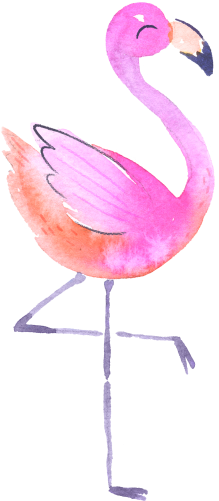 (s110-1-D) Flamingo