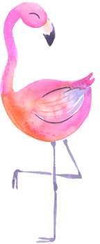 (s110-1-E) Flamingo