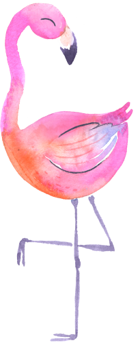 (s110-1-E) Flamingo