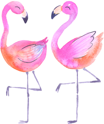 (s110-1-L) Flamingo Set