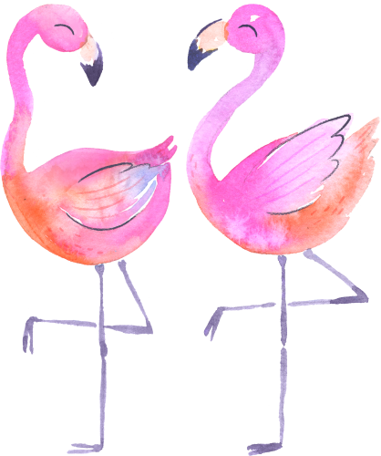 (s110-1-L) Flamingo Set