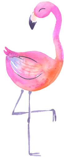(s110-1-E) Flamingo