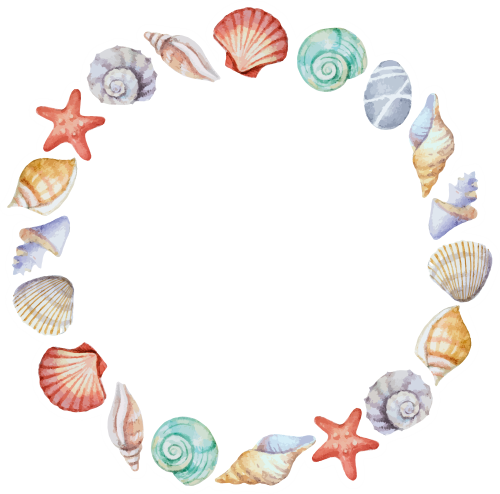 (s111-2A) Seashell Sea Shell Frame