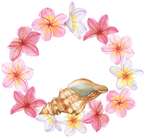 (s111-2B) Seashell Sea Shell Plumeria Flowers Frame