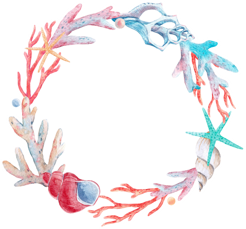 (s111-2D) Seashell Sea Shell Frame