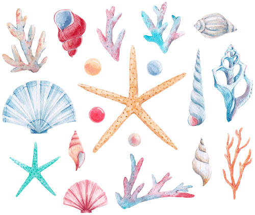 (s111-R) Watercolor Sea Shells Coral Sheet