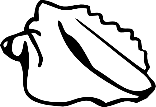 (s111-L) Sea Shell