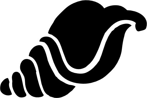 (s111-B) Sea Shell