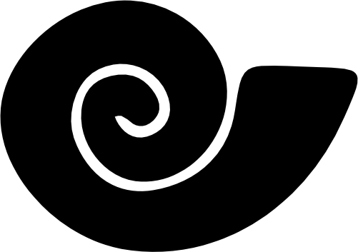 (s111-E) Sea Shell Nautilus