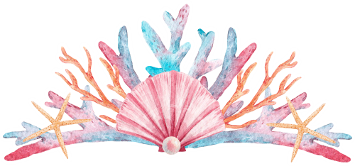 (s111-N) Watercolor Sea Shells Coral