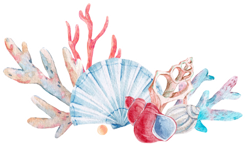 (s111-O) Watercolor Sea Shells Coral