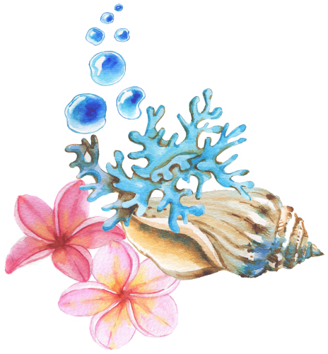(s111-P) Watercolor Sea Shells Coral