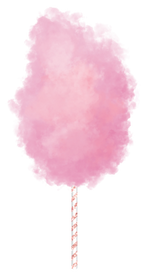 (s113-1) Cotton Candy Floss