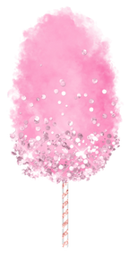 (s113-1) Cotton Candy Floss